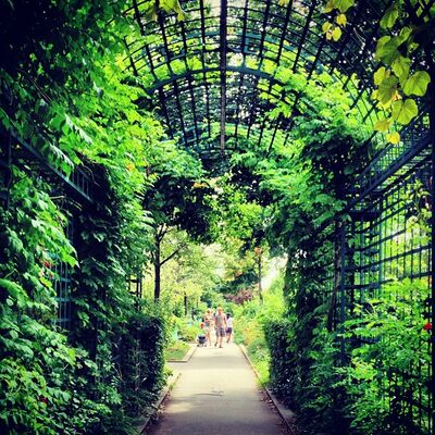A path running through a tunnel of green trellises and climbing plants